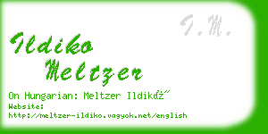 ildiko meltzer business card